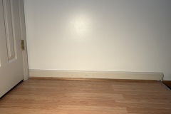 a1
