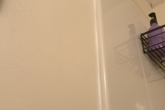 IMG_4250a-2