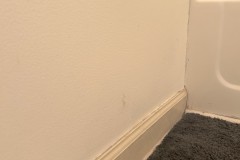 IMG_4251a