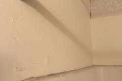 IMG_4253a-1