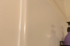 IMG_4253a-2