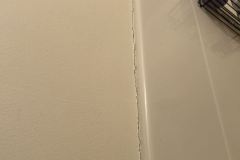 IMG_4250a_1
