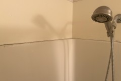 IMG_4252a