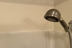 IMG_4252a1