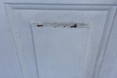 image00019