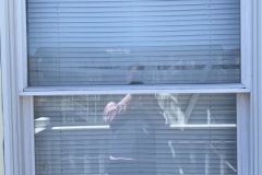 image00011