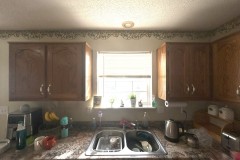 Kitchen Cabinet V